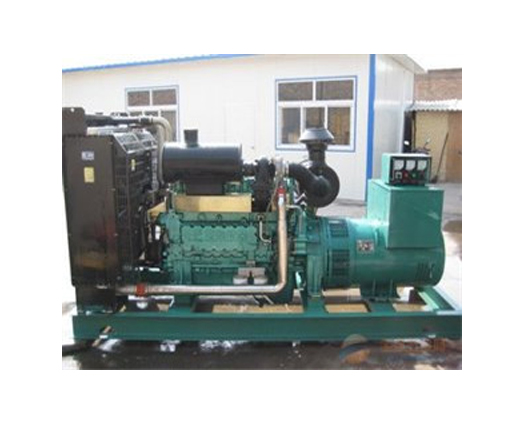 武汉亿源丰动力专业从事各种品牌柴油发电机组生产、 销售、租赁、维修、保养